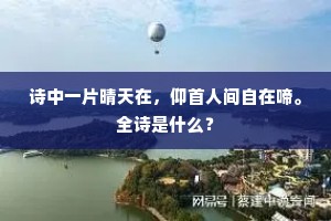 诗中一片晴天在，仰首人间自在啼。全诗是什么？