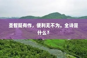 圣智既有作，便利无不为。全诗是什么？