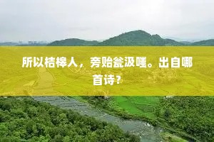 所以桔槔人，旁贻瓮汲嗤。出自哪首诗？