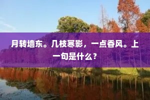 月转墙东。几枝寒影，一点香风。上一句是什么？