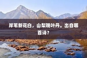 岸苇新花白，山梨晚叶丹。出自哪首诗？