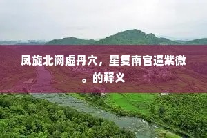 凤旋北阙虚丹穴，星复南宫逼紫微。的释义