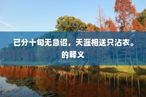 已分十旬无急诏，天涯相送只沾衣。的释义