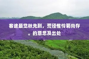 客途最觉秋先到，荒径惟怜菊尚存。的意思及出处