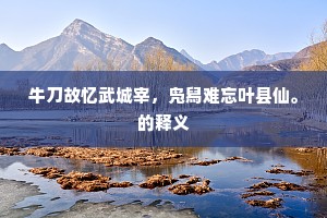 牛刀故忆武城宰，凫舄难忘叶县仙。的释义