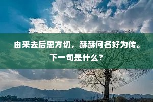 由来去后思方切，赫赫何名好为传。下一句是什么？