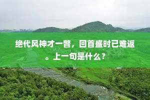 绝代风神才一瞥，回首盛时已难返。上一句是什么？