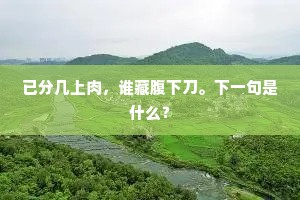 已分几上肉，谁藏腹下刀。下一句是什么？