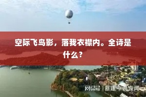空际飞鸟影，落我衣襟内。全诗是什么？