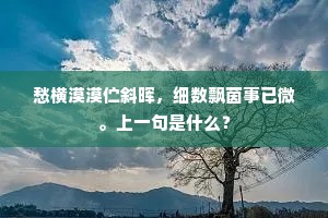 愁横漠漠伫斜晖，细数飘茵事已微。上一句是什么？