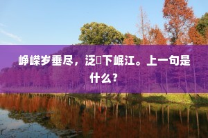 峥嵘岁垂尽，泛鹢下岷江。上一句是什么？