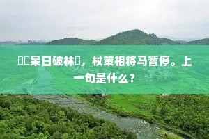 曈眬杲日破林坰，杖策相将马暂停。上一句是什么？