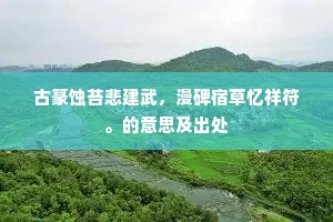 古篆蚀苔悲建武，漫碑宿草忆祥符。的意思及出处