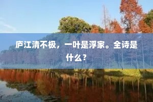庐江清不极，一叶是浮家。全诗是什么？