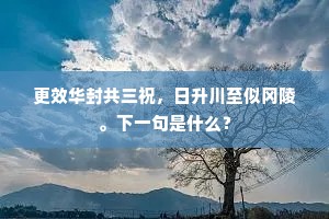 更效华封共三祝，日升川至似冈陵。下一句是什么？
