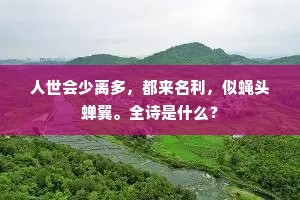 人世会少离多，都来名利，似蝇头蝉翼。全诗是什么？
