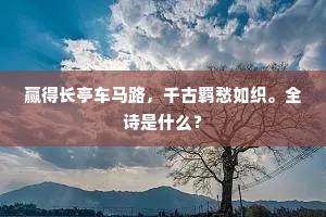 赢得长亭车马路，千古羁愁如织。全诗是什么？