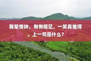 我辈情钟，匆匆相见，一笑真难得。上一句是什么？