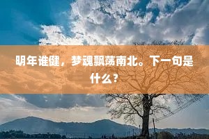明年谁健，梦魂飘荡南北。下一句是什么？