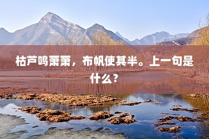 枯芦鸣萧萧，布帆使其半。上一句是什么？