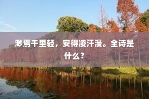 渺焉千里轻，安得凌汗漫。全诗是什么？