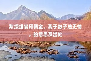 紫绶绯裳印佩金，我于数子总无情。的意思及出处