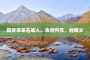 眼穿荡桨石城人。去知何在，的释义
