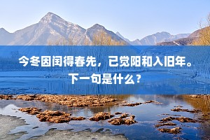 今冬因闰得春先，已觉阳和入旧年。下一句是什么？