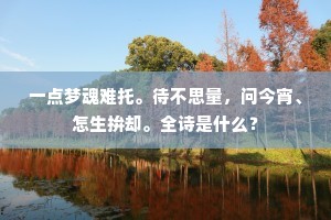 一点梦魂难托。待不思量，问今宵、怎生拚却。全诗是什么？