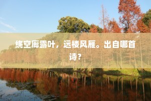 绕空廊露叶，远楼风雁。出自哪首诗？