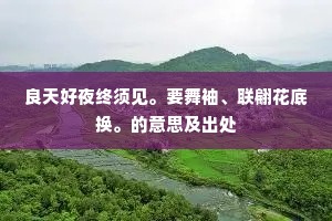 良天好夜终须见。要舞袖、联翩花底换。的意思及出处