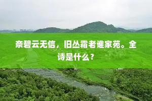 奈碧云无信，旧丛霜老谁家苑。全诗是什么？