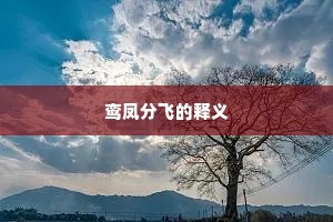 鸾凤分飞的释义