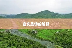 鸾交凤俦的解释