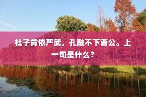 杜子肯依严武，孔融不下曹公。上一句是什么？