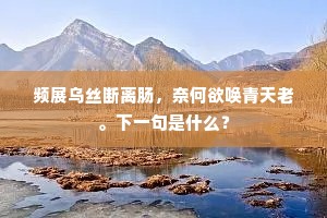 频展乌丝断离肠，奈何欲唤青天老。下一句是什么？