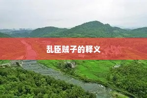 乱臣贼子的释义