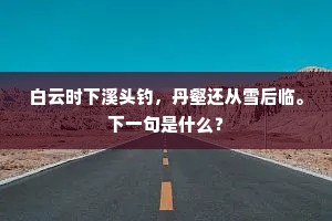 白云时下溪头钓，丹壑还从雪后临。下一句是什么？