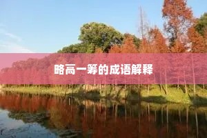 略高一筹的成语解释