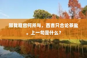 顾我粗官何所与，西曹只合论茶盐。上一句是什么？
