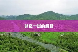 略窥一斑的解释