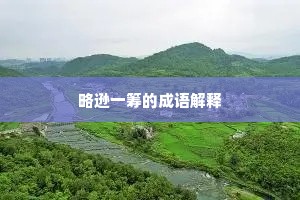 略逊一筹的成语解释