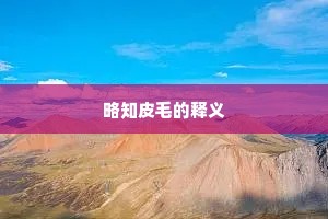 略知皮毛的释义