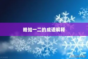 略知一二的成语解释
