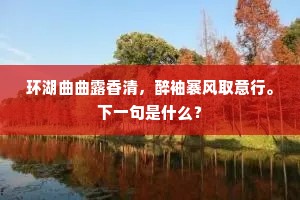 环湖曲曲露香清，醉袖褰风取意行。下一句是什么？