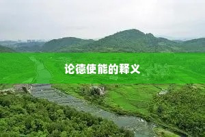 论德使能的释义