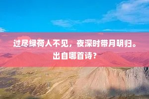 过尽绿荷人不见，夜深时带月明归。出自哪首诗？