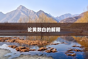 论黄数白的解释