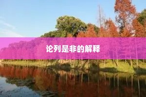 论列是非的解释