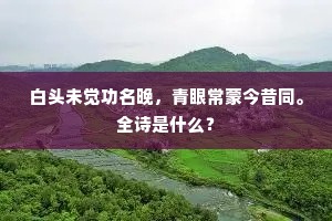 白头未觉功名晚，青眼常蒙今昔同。全诗是什么？